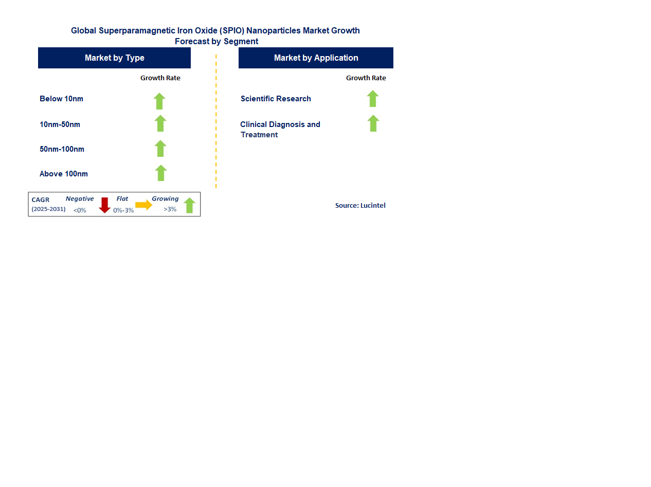 Superparamagnetic Iron Oxide (SPIO) Nanoparticles Market by Segment
